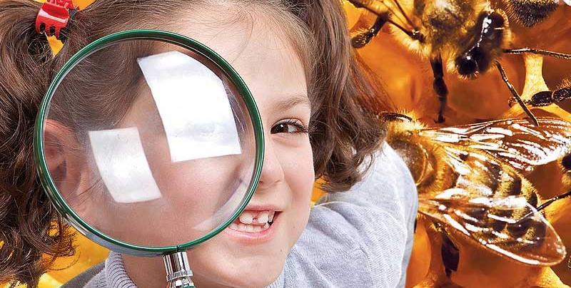 Atelier enfant à la Miellerie de l'Oratoire